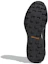 Purchase (W) adidas Terrex Skychaser LT Gore-Tex ''Carbon'' Wanderschuhe F36119