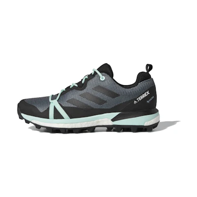 (W) adidas Terrex Skychaser LT GTX 'Ash Grey Mint'