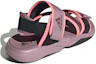 Shop (W) adidas Terrex Sumra ''Dunkelrosa'' GY2928