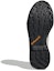 Details for (W) adidas Terrex Swift R2 Gore-Tex Hiking 'Coklat Muda Biru' EF0444
