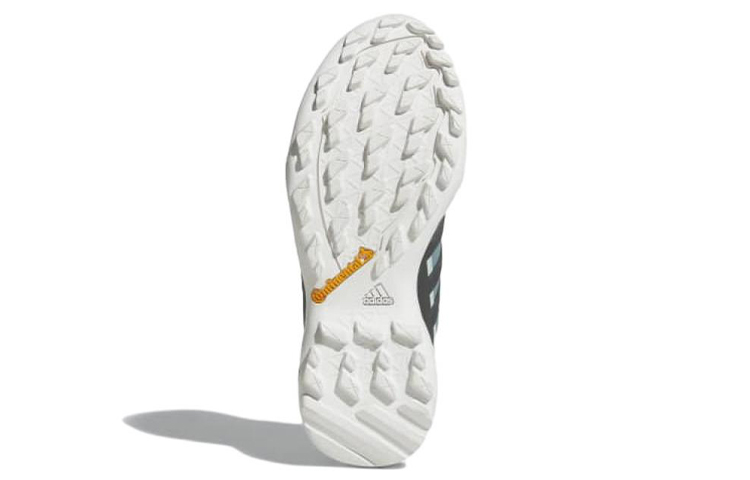 Details for (W) adidas Terrex Swift R2 GTX ''Blauw'' AC8058