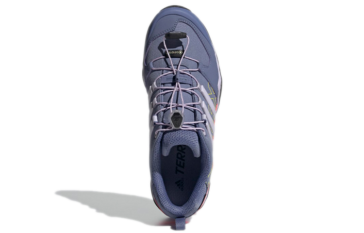 Purchase (W) adidas Terrex Swift R2 GTX ''Violet'' FZ3010