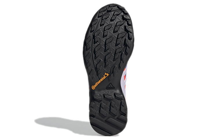 Details for (W) adidas Terrex Swift R2 GTX ''Violet'' FZ3010
