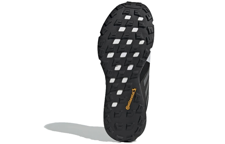 Purchase (W) adidas Terrex Two Boa Gore-Tex Trailrunning ''Zwart Wit'' F97639