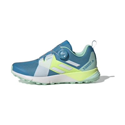 (W) adidas Terrex Two Boa Gore-tex Trail Running 'Blue Green'