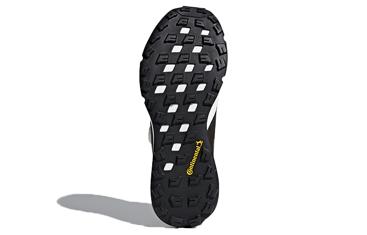 Details for (W) adidas Terrex Two Boa Blanc/Noir CM7575