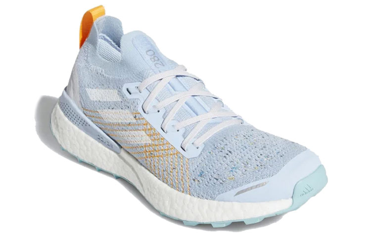 Order (W) adidas Terrex Two Ultra Parley Trail Blau EF2192