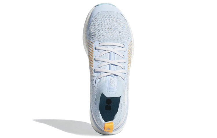 Shop (W) adidas Terrex Two Ultra Parley Trail Blau EF2192