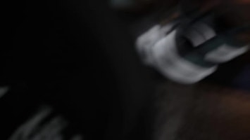 Adidas The Total Weightlifting Negro/Core Negro/Gris Seis JP9870 Order Adidas The Total Weightlifting Negro/Core Negro/Gris Seis JP9870