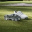 Shop (W) adidas Tour360 24 Boost 'Putih Awan' IF0260