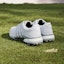 Details for (W) adidas Tour360 24 Boost 'Putih Awan' IF0260