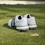 Details for (W) adidas Tour360 24 Boost 'Hijau Spark' IF0259