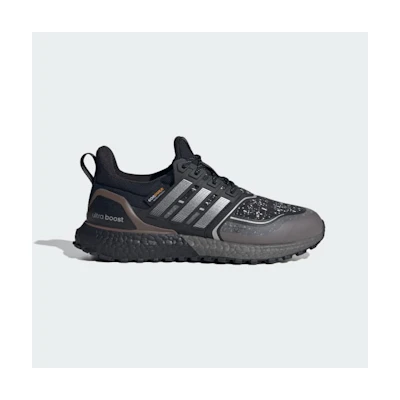 (W) Adidas Ultraboost 1.0 All Terrain (ATR) Core Black/Silver Metallic/Earth Strata