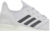Order (W) adidas UltraBoost 20 'Dash Grey' Kelabu EE4394