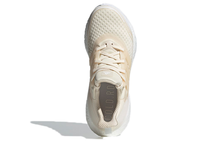 Purchase (W) 울트라부스트 21 COLD.RDY '라이트 브라운' FY3955