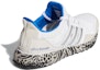 Shop (W) adidas UltraBoost DNA 'Corak Haiwan' FW4909