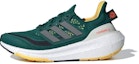 Buy (W) adidas UltraBoost Light 'Hari Bumi' IE5831