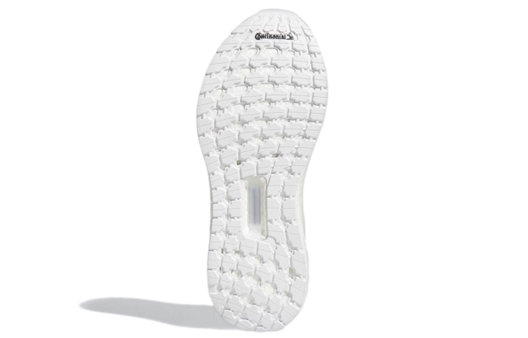 Details for (W) adidas Ultraboost Pb /Gris ''Blanc'' FW8733