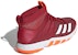 (W) adidas Wucht P7 'Merah Gelap' F99909
