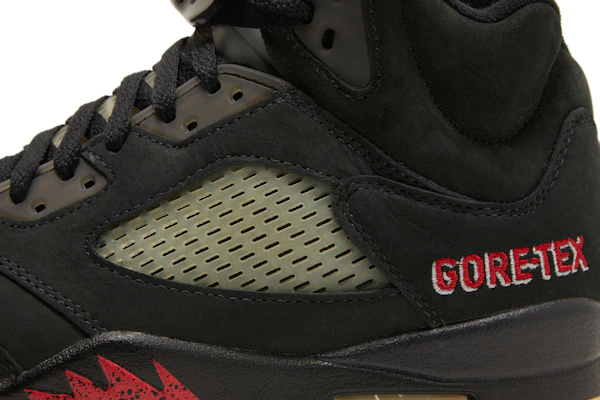 (W) Air Jordan 5 Gore-Tex "暗黑之夜" DR0092-001 2