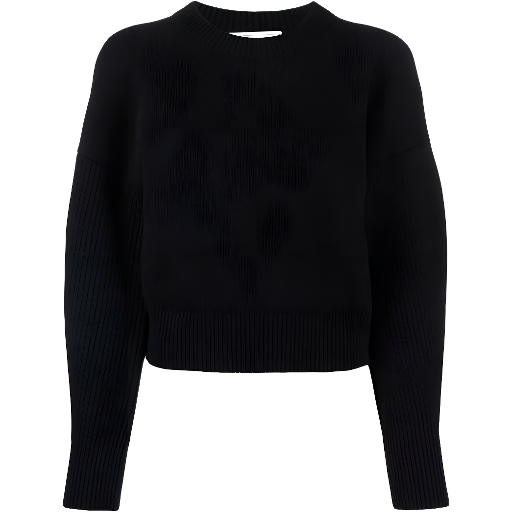 Buy (Women) Alexander McQueen  Black Wool Crewneck Sweater FW22. 688350-Q1AX9-1000