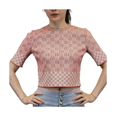 (Women) Alexander McQueen Red Short-Sleeve Checkered Crop T-Shirt 461077-Q1RO1-6518