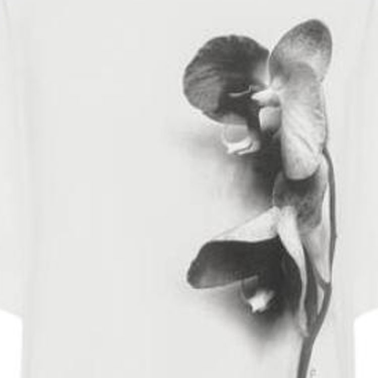 Details for (Women) Alexander McQueen Floral Print Pullover Solid T-Shirt FW23  White 769759-QZAKI-0900