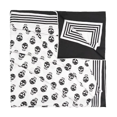 (Women) Alexander McQueen Skull Print Silk Scarf for Women - Black 708004-3001Q-9260