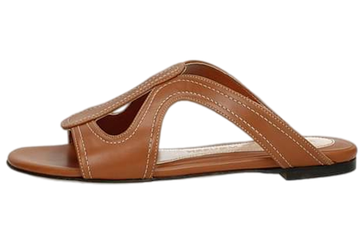 (Women) Alexander McQueen Slide 'Versatile Fashion Brown' 520056WHMU02007