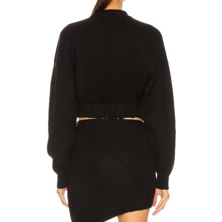 Shop (Women) Alexander Wang  Black Cropped Pullover Sweater with Embroidered Logo. 4KC2201009-110