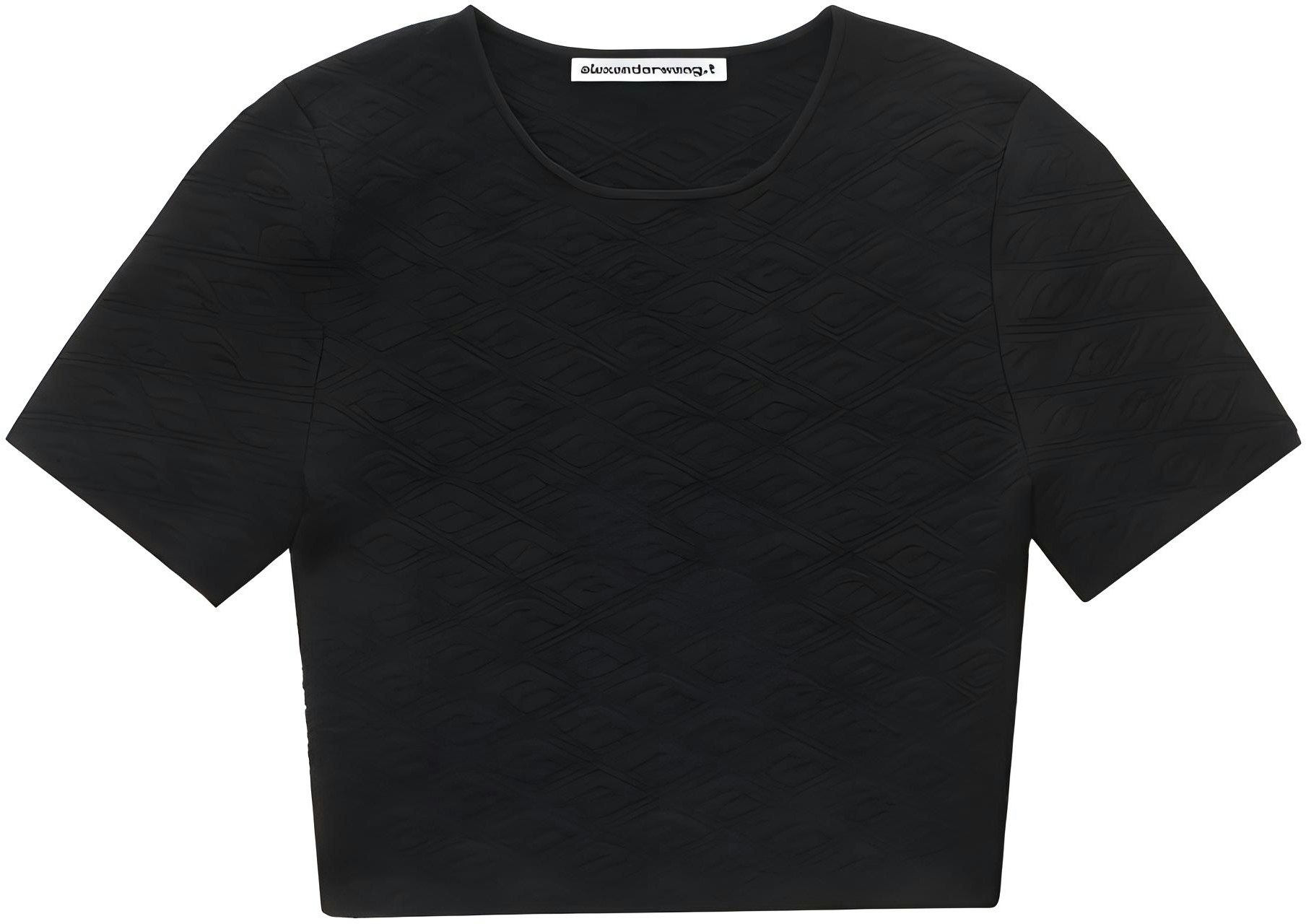 women-alexander-wang-black-plain-crew-neck-slim-fit-t-shirt-4-kc-3231056-001
