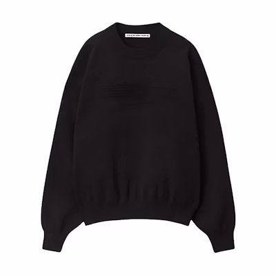(Women) Alexander Wang Black Solid Color Crewneck Sweater Pullover. 1KC3231017-001