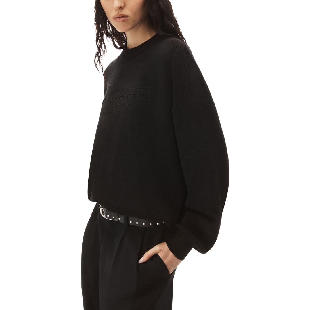 Sizing (Women) Alexander Wang  Black Solid Color Crewneck Sweater Pullover. 1KC3231017-001