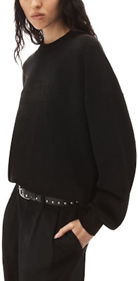 (Women) Alexander Wang Black Solid Color Crewneck Sweater Pullover. 1KC3231017-001 Sizing (Women) Alexander Wang Black Solid Color Crewneck Sweater Pullover. 1KC3231017-001