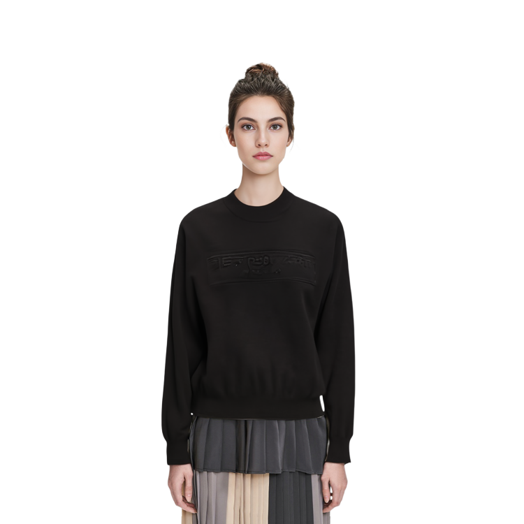 Cheap (Women) Alexander Wang  Black Solid Color Crewneck Sweater Pullover. 1KC3231017-001