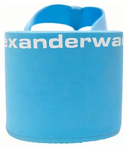 (W) 亚历山大王蓝色斜坡跟尼龙人字拖 30321S019448 Shop (W) 亚历山大王蓝色斜坡跟尼龙人字拖 30321S019448