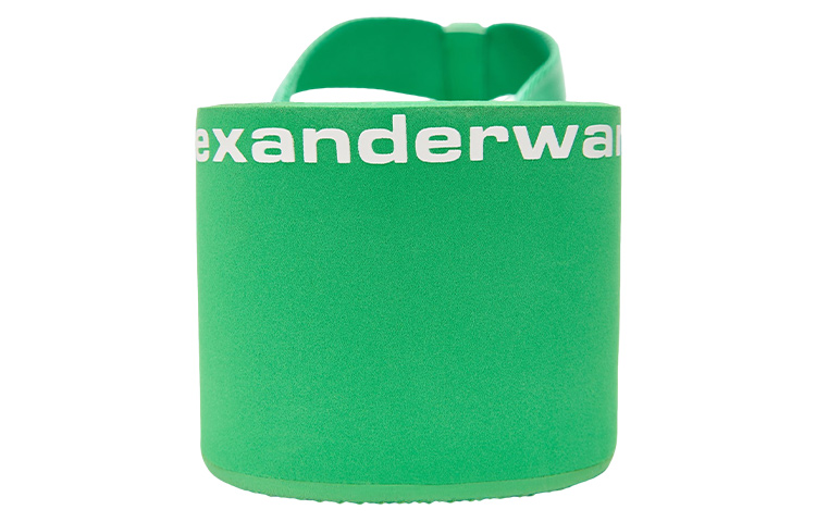 Shop (W) Alexander Wang Sandal Jepit Wedge Kulit Hijau Minimalis 30321S019310