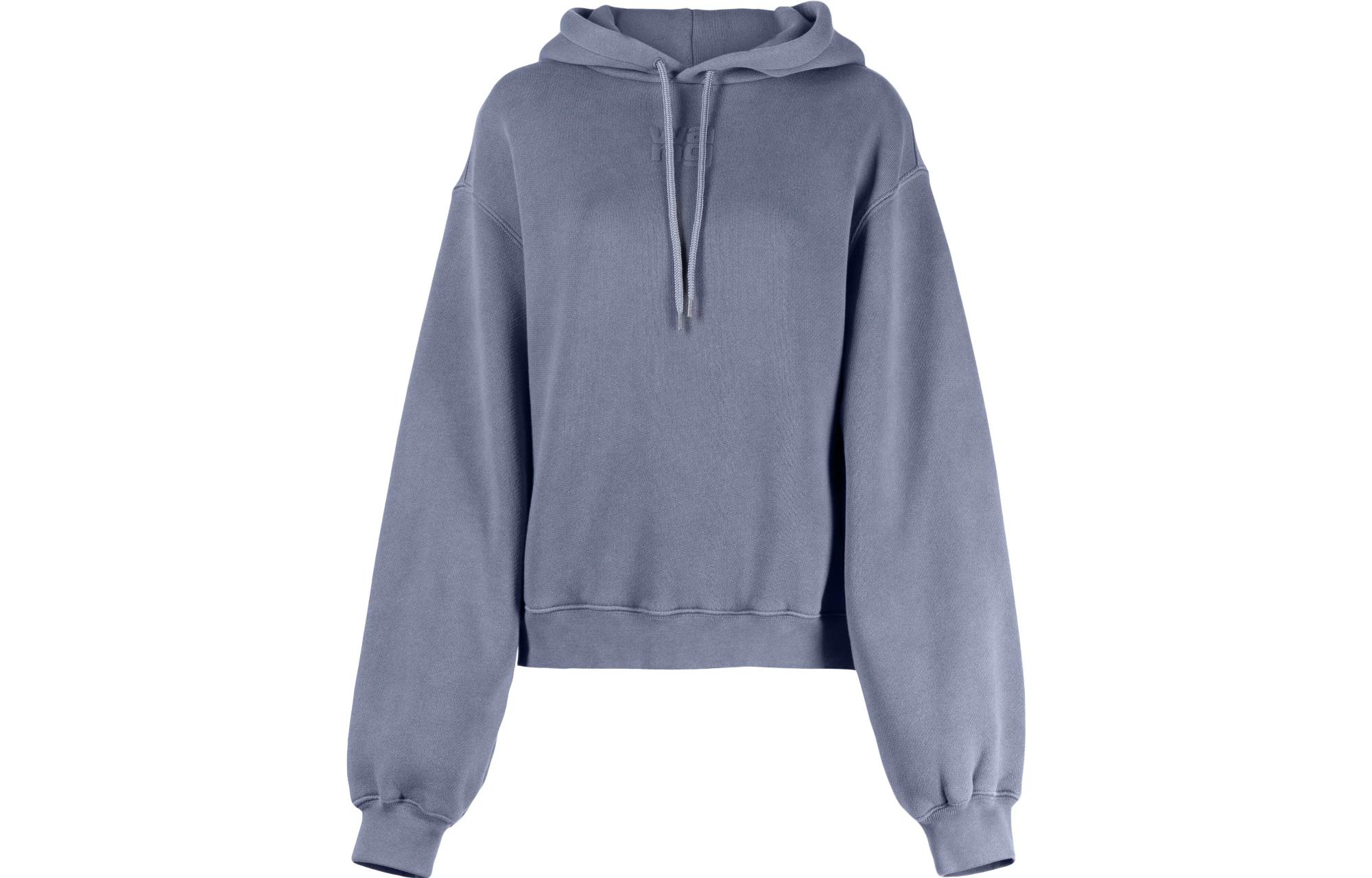 (Women) Alexander Wang  Logo Gradient Hoodie in Light Grey. 4CC3222069-077