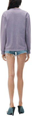 (Women) Alexander Wang Purple Logo Long Sleeve Oversized Cotton T-Shirt SS24 4CC32213566-87A Purchase (Women) Alexander Wang Purple Logo Long Sleeve Oversized Cotton T-Shirt SS24 4CC32213566-87A