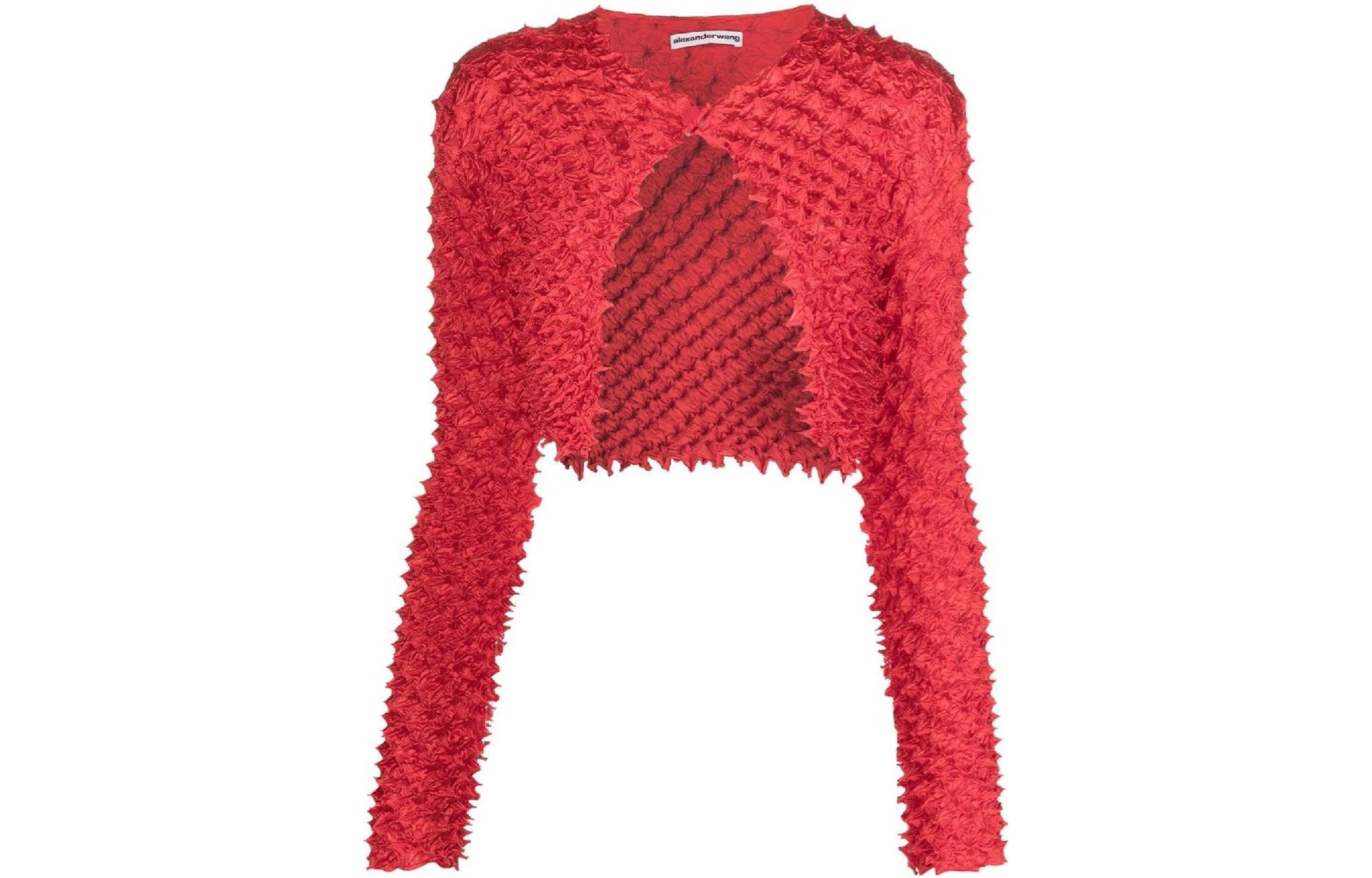 (Women) Alexander Wang  Red Cropped Raglan Long-Sleeve Knit Sweater 1WC3211490