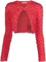 (Women) Alexander Wang Red Cropped Raglan Long-Sleeve Knit Sweater 1WC3211490 (Women) Alexander Wang Red Cropped Raglan Long-Sleeve Knit Sweater 1WC3211490