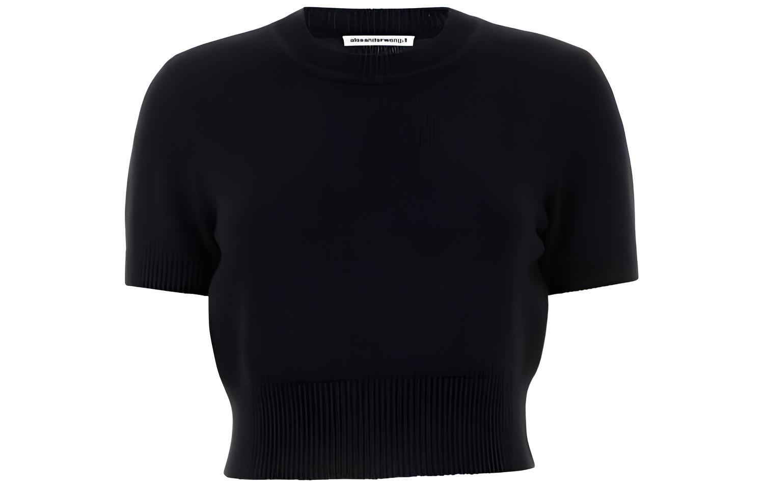 Buy (Women) Alexander Wang  Slim Fit Crewneck Short Sleeve Black T-Shirt 4KC2241026-001