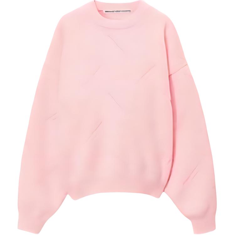 (Women) Alexander Wang Embossed Logo Fleece Pullover Crewneck Sweater  Loose Fit 1KC4231041-671