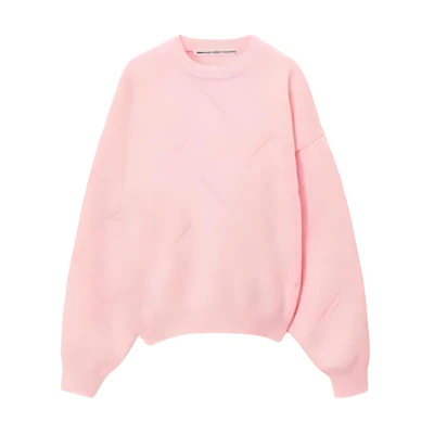 (Women) Alexander Wang Embossed Logo Fleece Pullover Crewneck Sweater Loose Fit 1KC4231041-671
