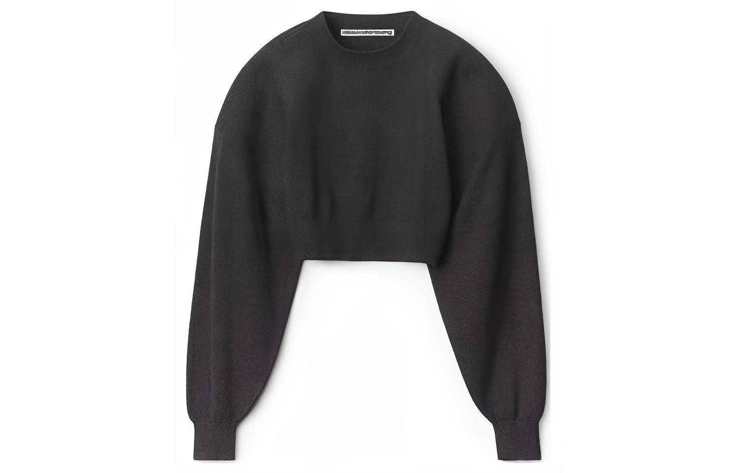 (Women) Alexander Wang FW22  Black Crewneck Knit Pullover Sweater 1KC4221062-010