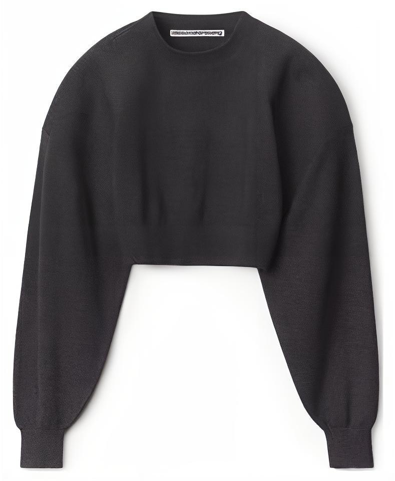 women-alexander-wang-fw-22-black-crewneck-knit-pullover-sweater-1-kc-4221062-010