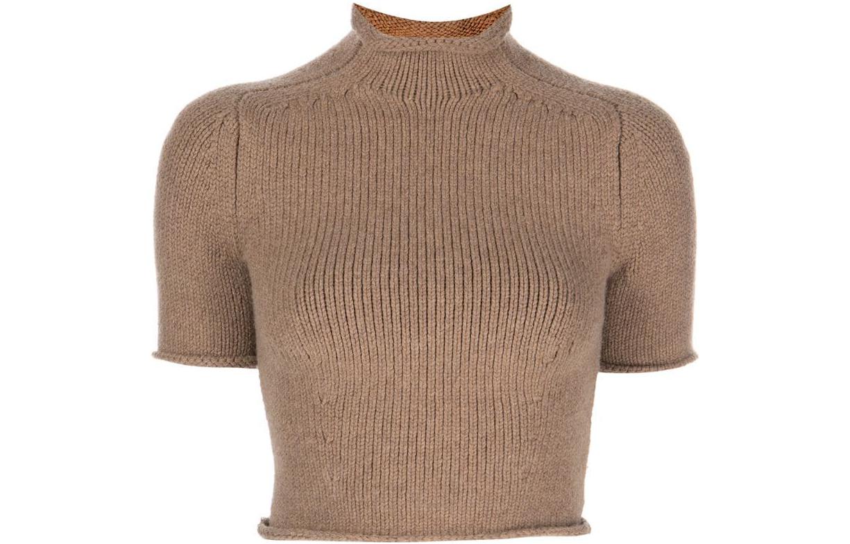 (Women) Alexander Wang FW22  Brown Wool Knit Short-Sleeve Crop Turtleneck Sweater 1KC4221052-219
