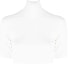Order (Women) Alexander Wang FW22 White Cropped Turtleneck Short Sleeve Tee 4KC1231034-104
