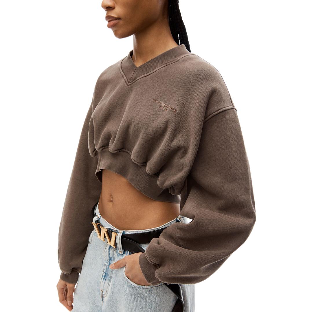 Purchase (W) Alexander Wang FW22 Coklat Sweatshirt Pendek V-Leher Logo Sulaman 1CC4211507-205