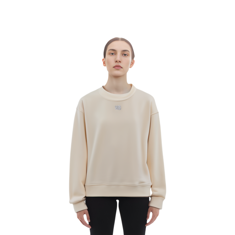 Sizing (W) 알렉산더 왕 FW22 벨벳 라인스톤 크루넥 스웻셔츠 베이지 가을. 4CC3211265-120